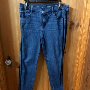 Ann Taylor Indigo Skinny Jeans